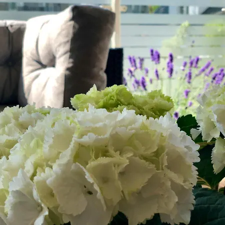 Bialy Z Tarasem W Playa Baltis Apartment Misdroy