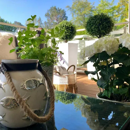 Bialy Z Tarasem W Playa Baltis *