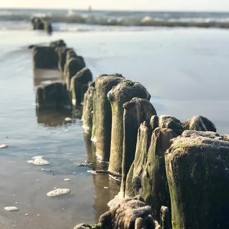 Bialy Z Tarasem W Playa Baltis * Miedzyzdroje