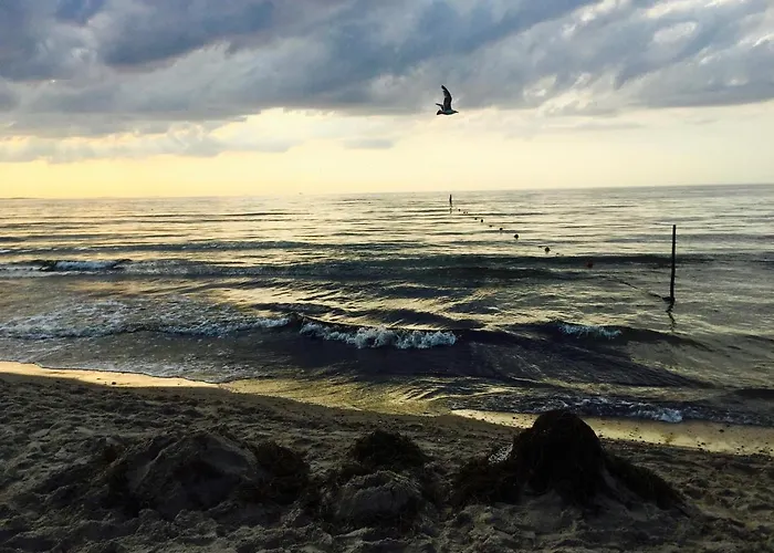 Apartment Bialy Z Tarasem W Playa Baltis