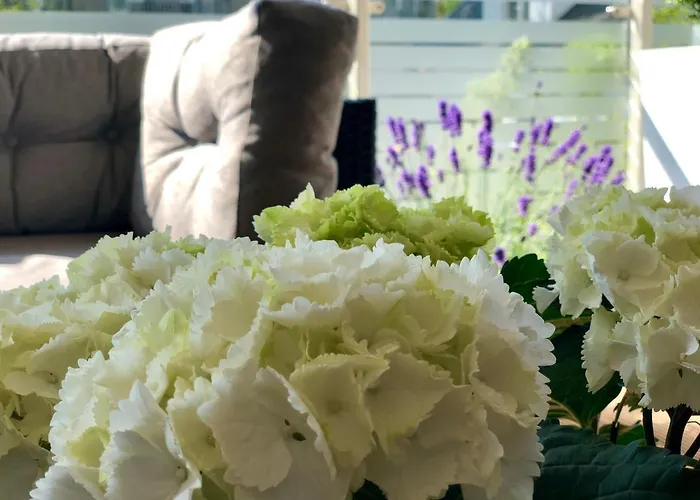 Bialy Z Tarasem W Playa Baltis Apartment Misdroy