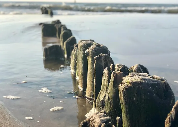 Bialy Z Tarasem W Playa Baltis * Międzyzdroje
